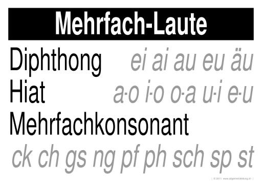 w_LernPlakate_DEU_Mehrfach-Laute.jpg (488342 Byte)