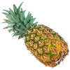 the pineapple | l' [m.] ananas