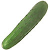 the cucumber | le concombre