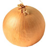 onion | oignon